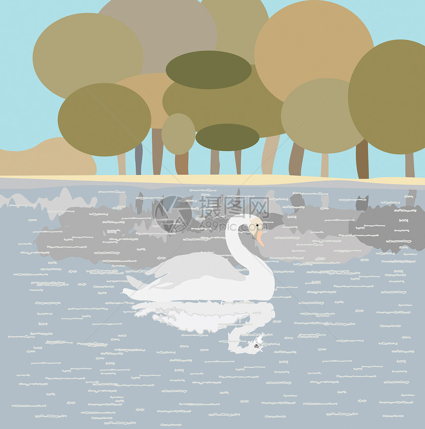 在湖上用白天鹅做说明图片