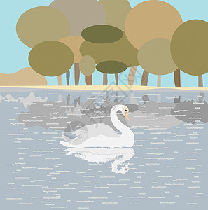 天鹅设计素材在湖上用白天鹅做说明背景