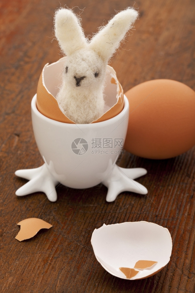复活节装饰概念从鸡蛋孵出羊毛兔子图片