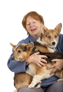 在大腿上抱着两只活共生小狗的高级女子图片