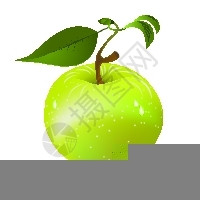新鲜绿苹果图片