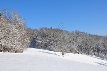 巴伐利亚冬季风景图片