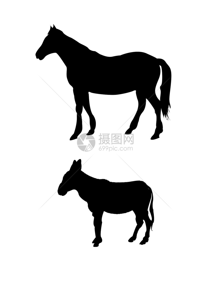 矢量马和驴环形图片