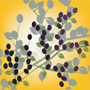 Yowlow上的橄榄矢量艺术插图图片
