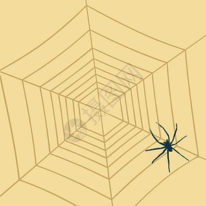 网络素描上的蜘蛛图片