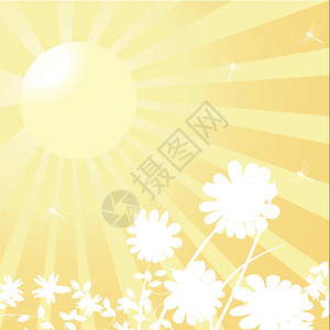 太阳和花背景春季概念图片