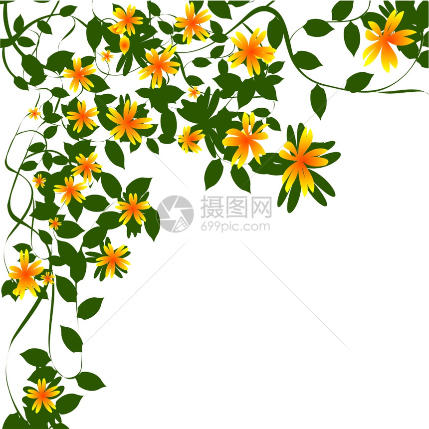 白色背景的装饰花卉设计图片