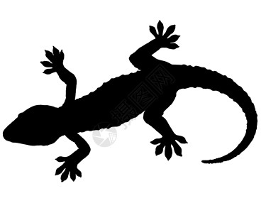 Gecko环形光影图片