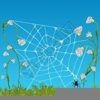 白色的蜘蛛百合花朵中的蜘蛛网卡通矢量插画插画