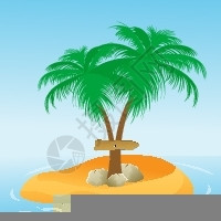 椰子树插图 图片