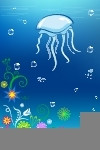 水下风景水母插图图片