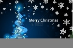与松树和雪花旋转的松树和雪花交织在一起的欢乐圣诞节壁纸图片