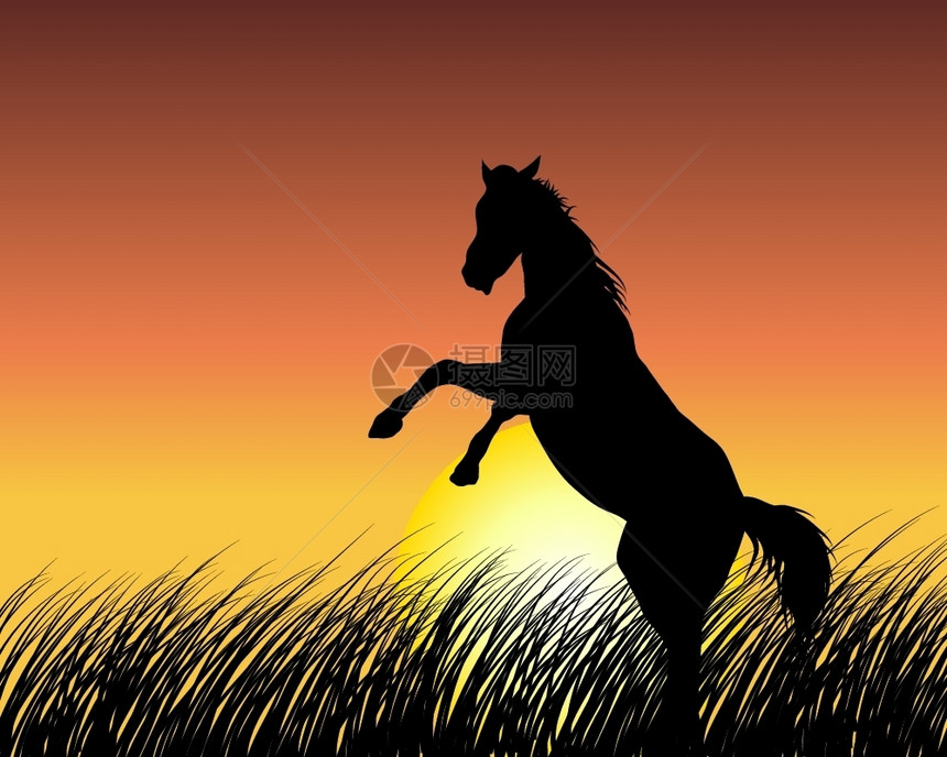 日落背景的马矢量插图图片