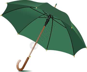绿色雨伞矢量插图图片