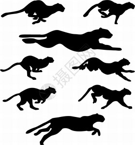 猎豹标志用于设计途的不同环形插画