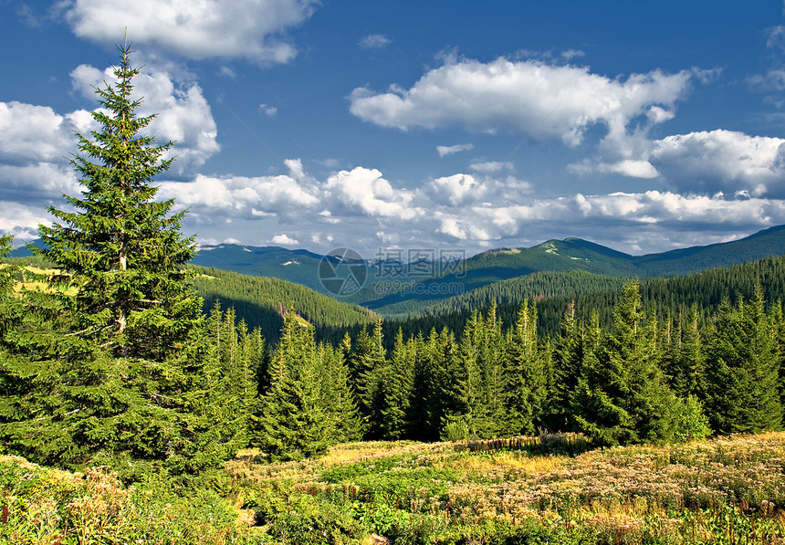 绿色山丘有蓝云天空夏季风景乌克兰卡尔帕蒂图片