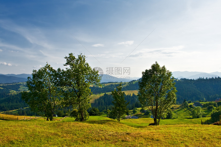 树木山丘和的农村景观图片