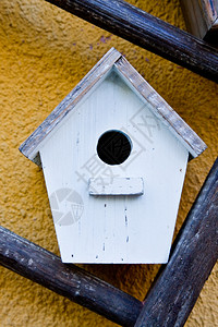 手制鸟屋适合照顾和安全概念背景图片