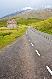 草原和道路图片