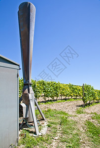 意大利葡萄园蒙法拉托和皮埃特地区的兰赫海尔大图片