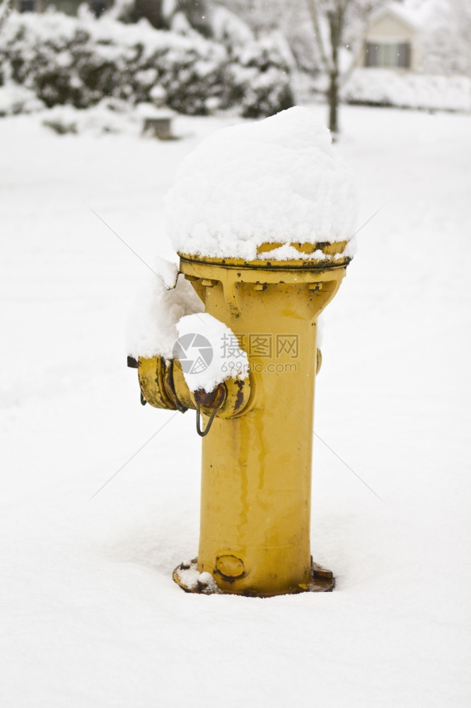 冬季黄火消防栓顶有雪图片