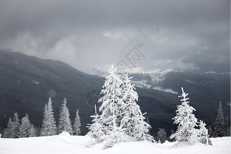 山区的雪暴天气图片