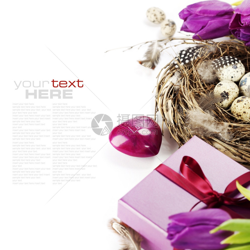 带紫郁金花和礼物盒的复活节背景图片