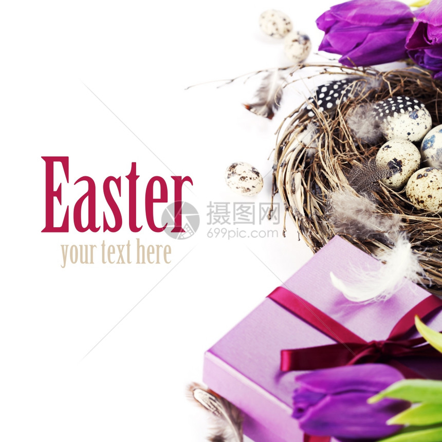 带紫郁金花和礼物盒的复活节背景图片