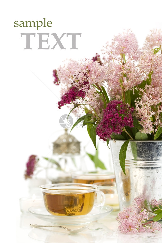 白色背景的草药茶蜡烛和鲜野花及样本文图片