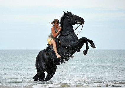 年轻的少女和美丽黑马在海中繁衍背景图片