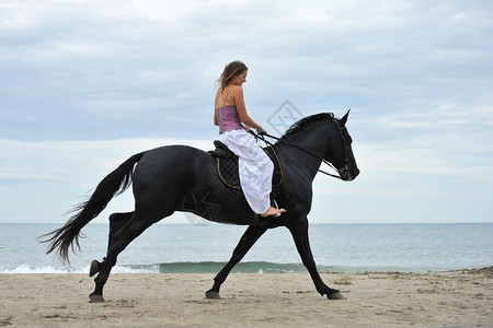 海滩上美丽的黑马和女人背景图片