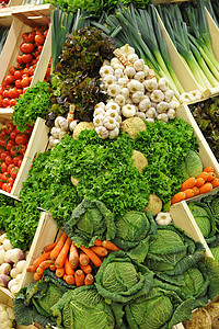 彩色蔬菜西红柿花叶大蒜沙拉生菜胡萝卜卷心菜根和紫色萝卜图片