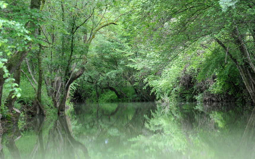 法国南部宁静的河流和森林图片