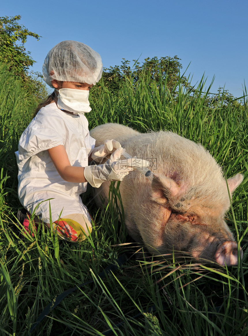 儿童玩猪和冒流感风险的猪图片
