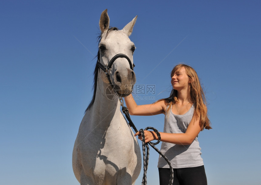 年轻少女和她的蓝天上灰色阿拉伯马图片
