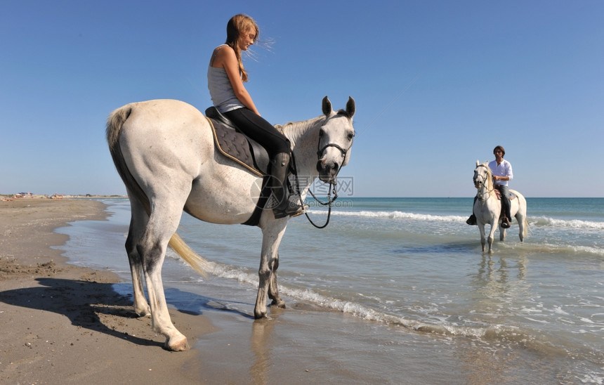 父亲和女儿在海滩上骑着阿拉伯马和卡玛格图片