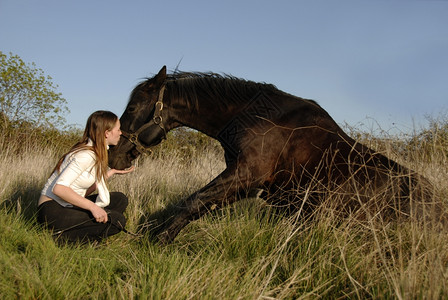 种马和年轻少之间的友谊图片
