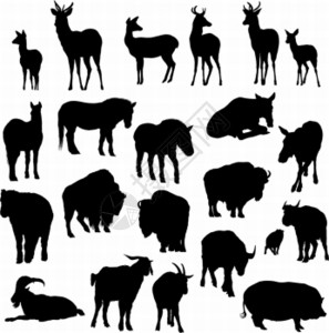 鹿马山羊牛水和猪剪影高清图片