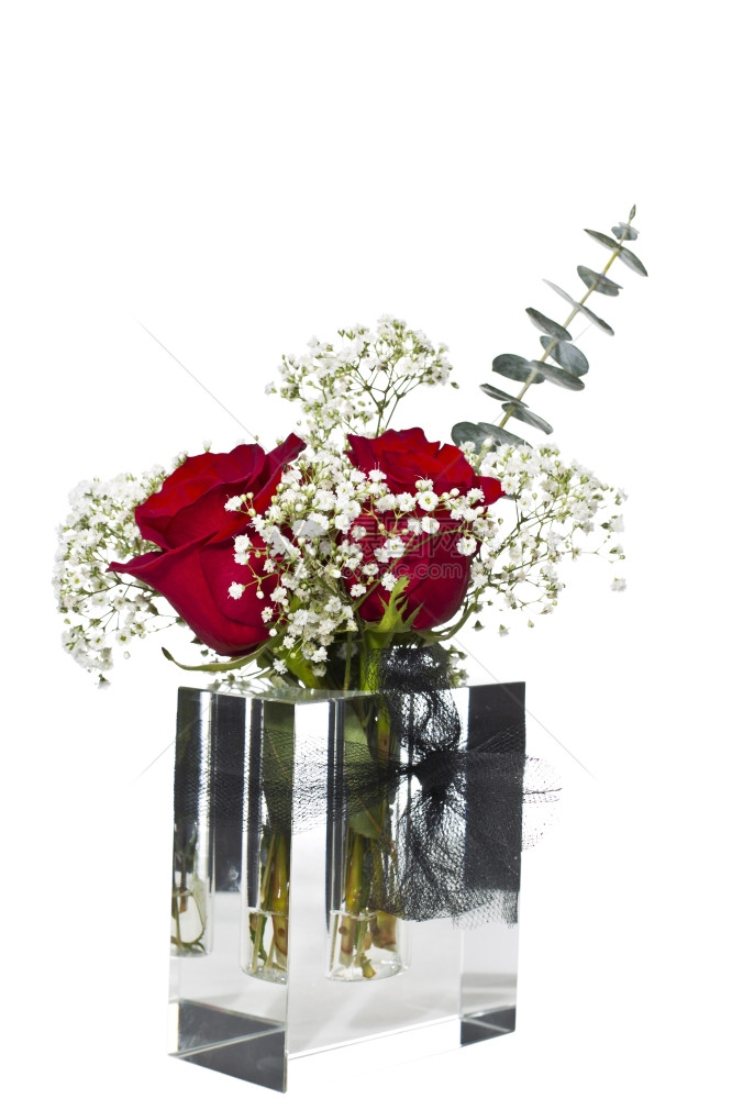 纯白色背景的玻璃盒形状花瓶中的红玫瑰图片