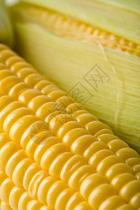 新鲜玉米的宏观图片