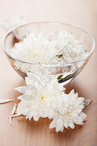 在碗中漂浮的白花图片