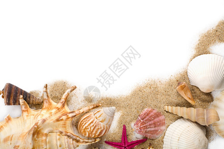 散沙的海弹图片