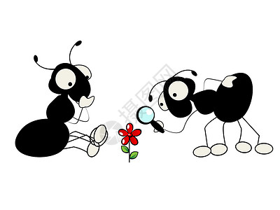 两只蚂蚁和一朵花的卡通插图高清图片