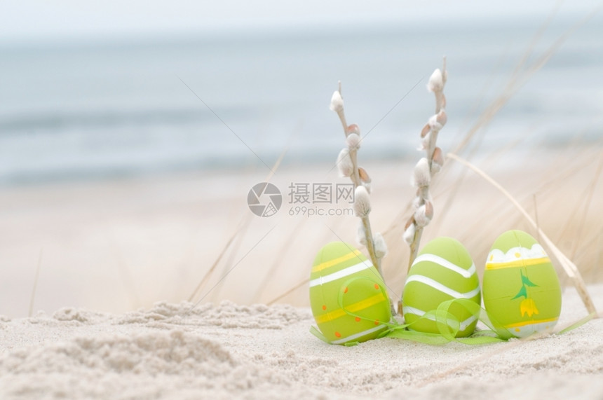 复活节装饰的鸡蛋和沙上猫皮背景中海滩和洋图片