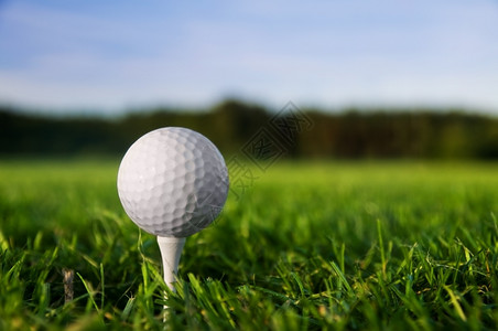 高尔夫球青草蓝天图片