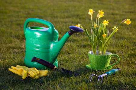 园艺工具水罐阳光下的草上花朵高清图片