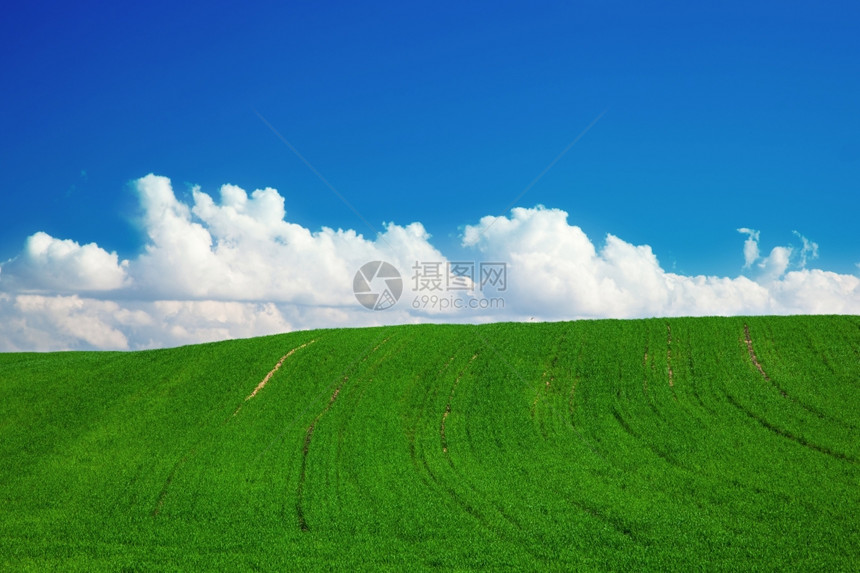 绿色的夏月风景有蓝色的天空和浮云图片