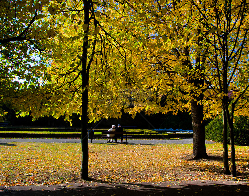 公园秋天的落叶图片