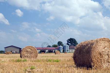 农田建筑和野干草堆图片