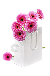粉红色的雏菊装在购物袋中的花朵背景
